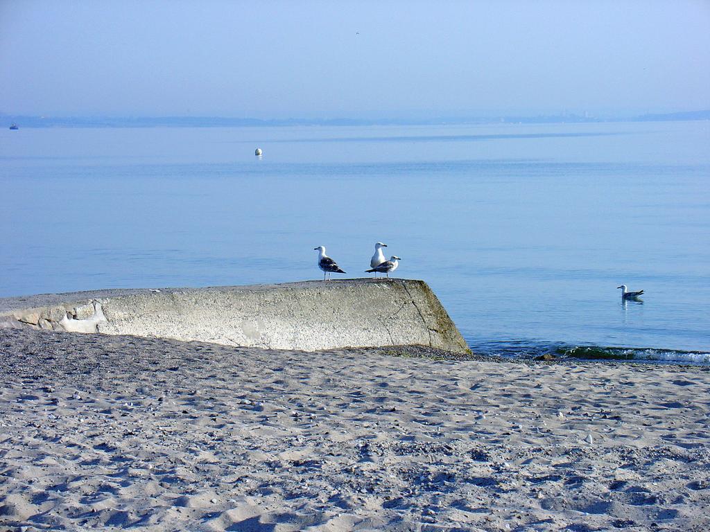 Fewo Machedanz Am Hafen Timmendorfer Strand Ot Niendorf Exteriör bild